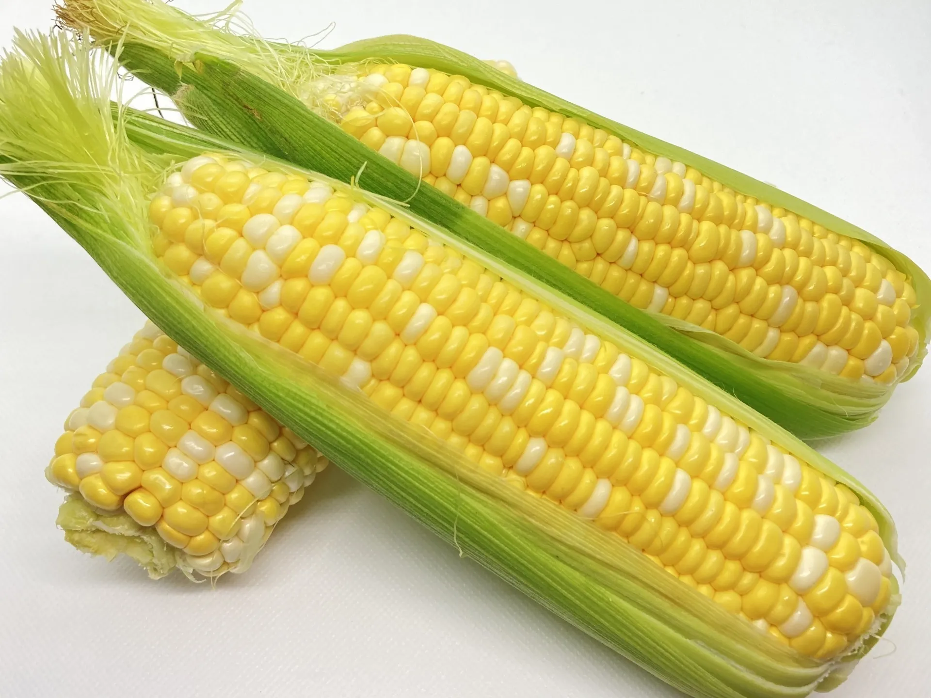 これからが旬のとうもろこしを収穫しました🌽